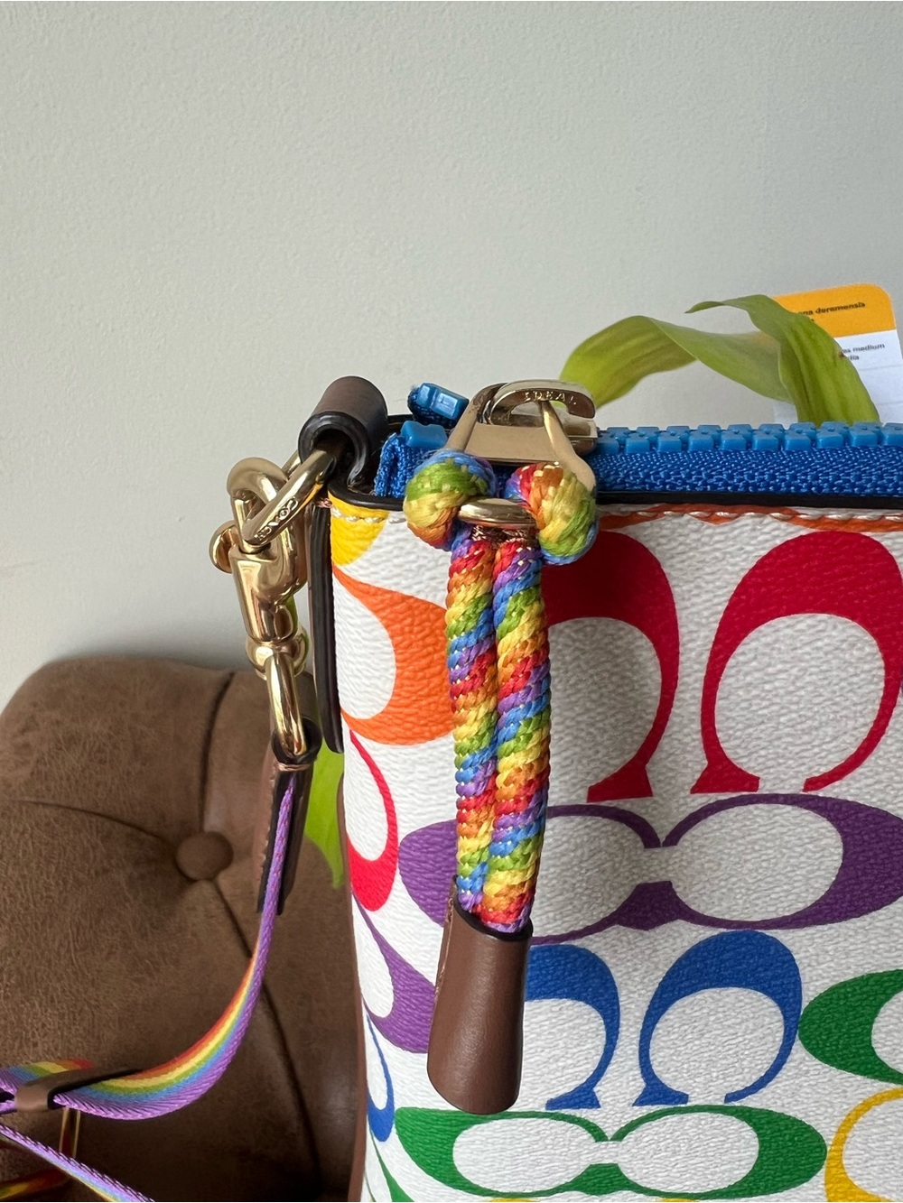 Coach Jes Slim Rainbow Crossbody Bag NWOT - Picture 4 of 11